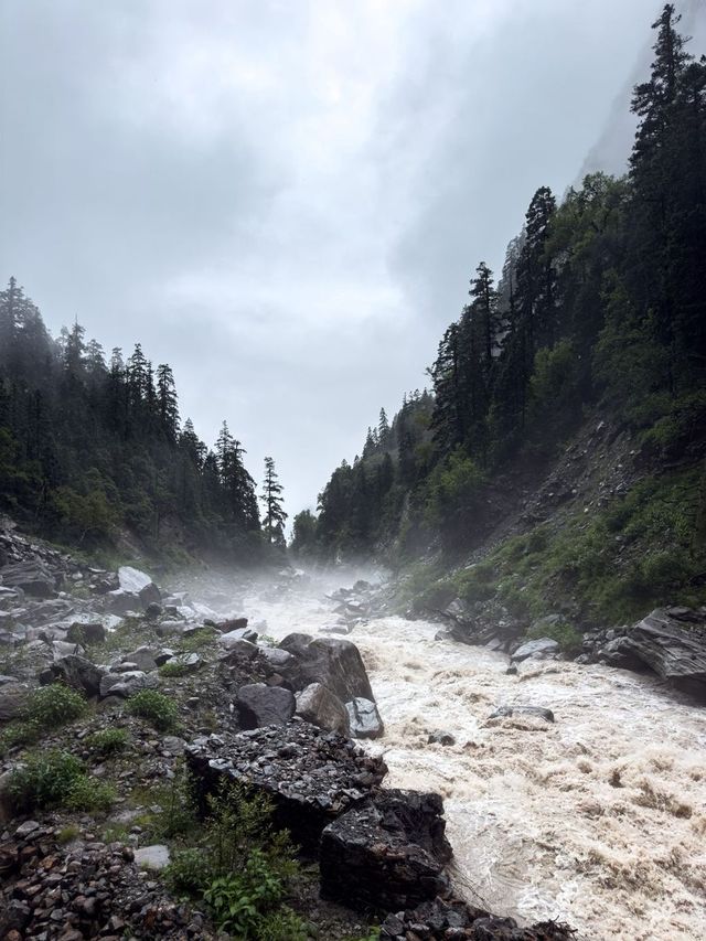 A fast brown river between boulders, in a gorge of pines and mist